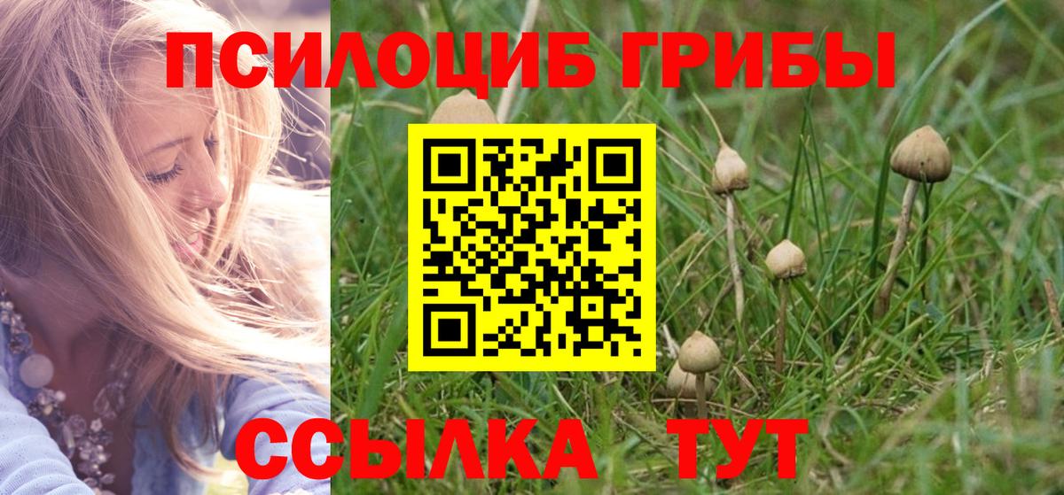 Галлюциногенные грибы Psilocybine cubensis Михайловск
