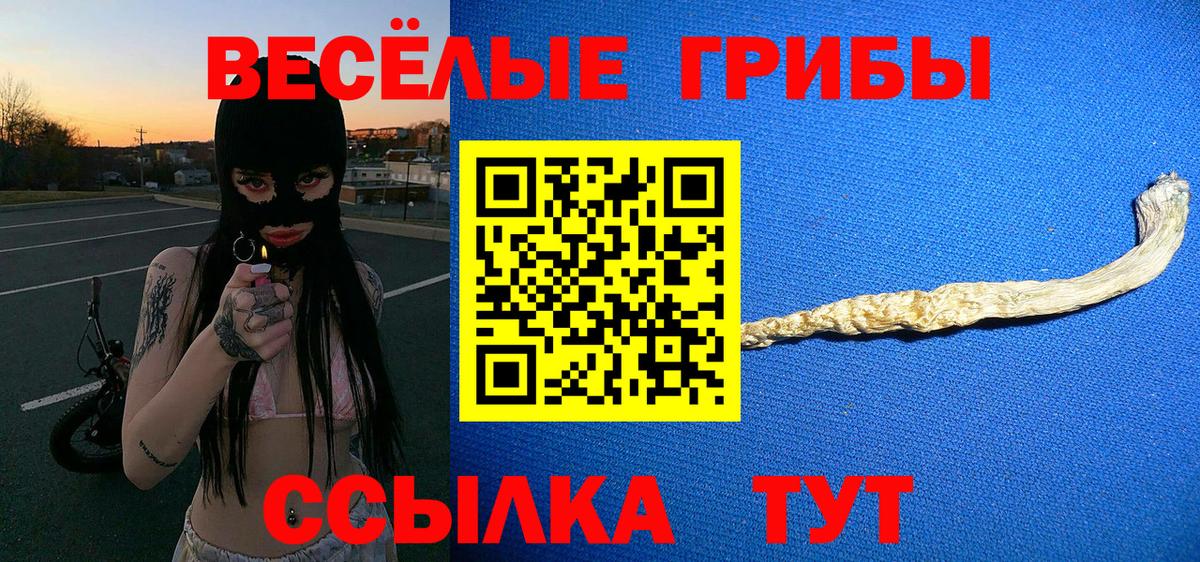 Галлюциногенные грибы Psilocybe  хочу наркоту  Вход с VPN  Михайловск  Псилоцибиновые грибы Magic Shrooms 
