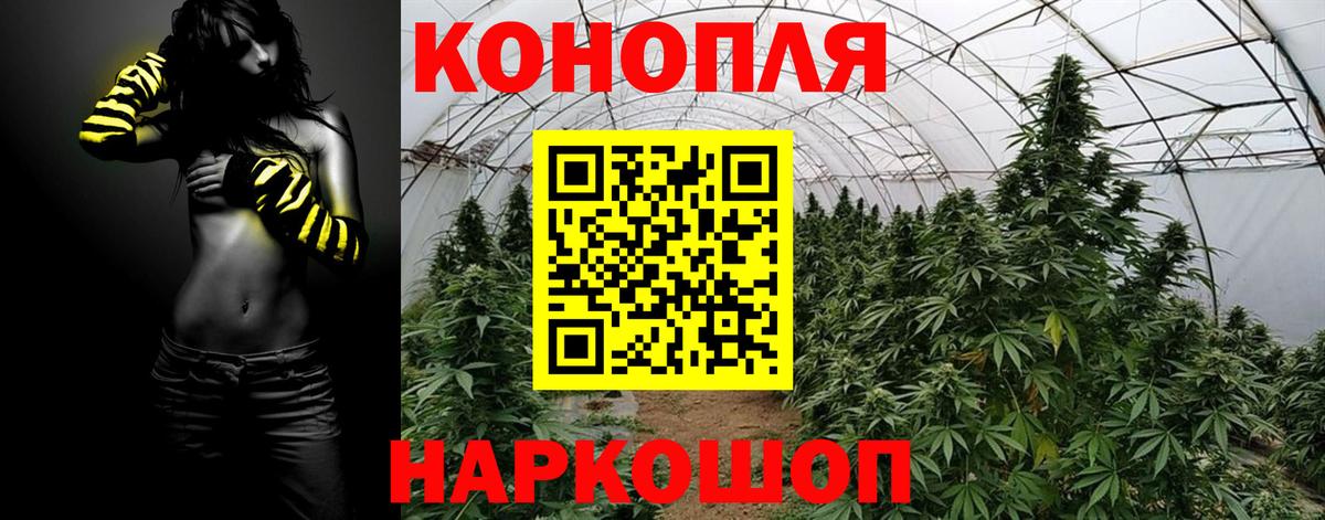 Канабис Amnesia Михайловск